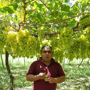 ���������� ������, ���� ������� �������, 43 ����, ������������ ��� ������, ����� � ���������, c�������� ���������, ���������