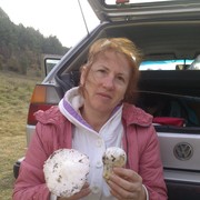  ,   , 58 ,  