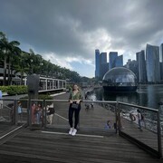 ���������� ������, ���� ������� ���������, 36 ���, ������������ ��� ����� � ���������, c�������� ���������