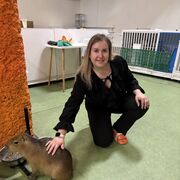 ���������� �������, ���� ������� ����, 36 ���, ������������ ��� c�������� ���������