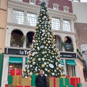 ���������� ���������, ���� ������� �����, 31 ���, ������������ ��� ������, ����� � ���������, c�������� ���������