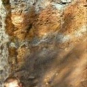 ���������� ������������, ���� ������� ����, 36 ���, ������������ 