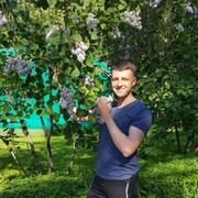 ���������� ���������, ���� ������� ������, 29 ���, ������������ ��� ������, ����� � ���������, c�������� ���������, ���������