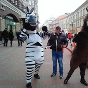 ���������� ���������, ���� ������� �����, 46 ���, ������������ ��� ������, ���������