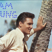 ���������� �������, ������� Pavelll, 61