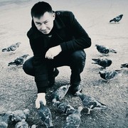   ,   , 40 ,   , 
