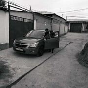  ,   Baxodir, 31 ,     , c 