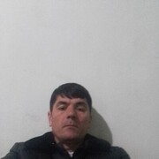  -,   , 44 ,   ,   