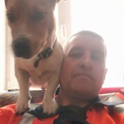  ,   , 53 ,   ,   