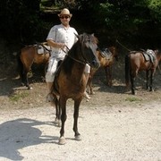  ,   Erik, 50 ,     , c 