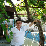  ,   , 52 ,   