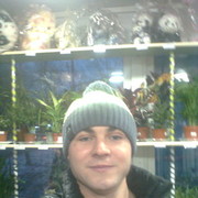 ���������� �����, ���� ������� ������, 36 ���, ������������ ��� ������, ����� � ���������, c�������� ���������