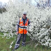 ���������� �����, ���� ������� �������, 39 ���, ������������ ��� ������, ����� � ���������, c�������� ���������