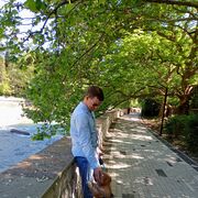 ���������� ����, ���� ������� ����, 36 ���, ������������ ��� ����� � ���������, c�������� ���������