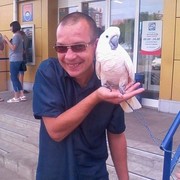 ���������� �������, ���� ������� ������, 41 ���, ������������ ��� ����� � ���������, c�������� ���������