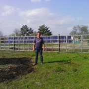 ,   Vasily, 46 ,   ,   , c 