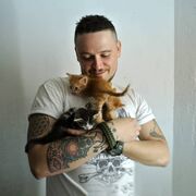 ���������� �������, ���� ������� Crash, 36 ���, ������������ ��� ������, ����� � ���������, c�������� ���������