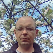 ���������� �����, ���� ������� ���������, 43 ����, ������������ ��� ����� � ���������, c�������� ���������