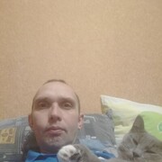 ���������� ����, ���� ������� �������, 40 ���, ������������ ��� ������, ����� � ���������, c�������� ���������