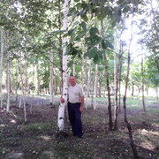  ,   Serg, 52 ,   ,   , c , 