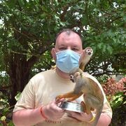 ���������� ����, ���� ������� �����, 43 ����, ������������ ��� ������, ����� � ���������