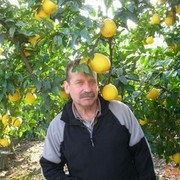  ,   Ostap, 64 ,   ,   , c 