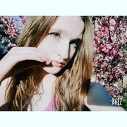  -,   , 24 ,  