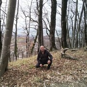 ���������� ����, ���� ������� ��������, 50 ���, ������������ ��� ������, ����� � ���������, c�������� ���������