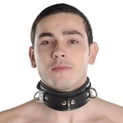 ���������� ������������, ���� ������� �����, 33 ����, ������������ ��� ������, ����� � ���������, ���������