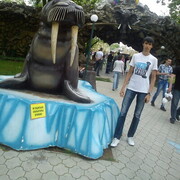 ���������� ���������, ���� ������� �������, 36 ���, ������������ ��� ������, ����� � ���������, c�������� ���������, ���������