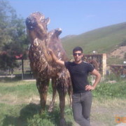  ,   Kosovali, 41 ,   