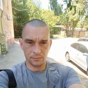 ���������� �������, ���� ������� ���������, 43 ����, ������������ 