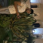 ���������� ������, ���� ������� ����, 32 ����, ������������ ��� c�������� ���������