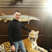 ���������� �������, ���� ������� ����, 48 ���, ������������ ��� ������, ����� � ���������