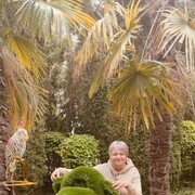 ���������� �������, ���� ������� ����, 54 ����, ������������ ��� ������, ����� � ���������, c�������� ���������