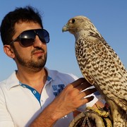  ,   Farid, 36 ,   ,   , c 