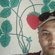  ,  DOVUD, 37