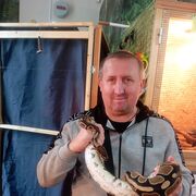 ���������� ���������, ���� ������� ���, 44 ����, ������������ ��� ������, ����� � ���������