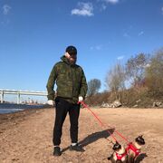 ���������� �����-���������, ���� ������� ���������, 41 ���, ������������ ��� ����� � ���������, c�������� ���������, ���������