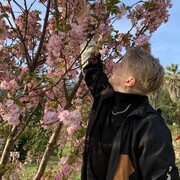 ���������� �����-���������, ���� ������� ����, 26 ���, ������������ ��� ������, ����� � ���������