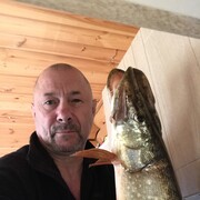 ���������� ������, ���� ������� �������, 64 ����, ������������ ��� ������, ����� � ���������