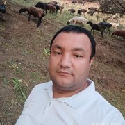  -,   , 38 ,   c 