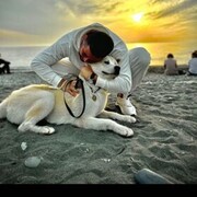 ���������� ���, ���� ������� �����, 40 ���, ������������ ��� ������, ����� � ���������