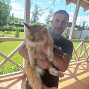 ���������� ������������, ���� ������� ��������, 47 ���, ������������ ��� ������, ����� � ���������