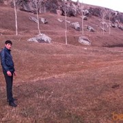 ���������� ������, ���� ������� Noro, 35 ���, ������������ 