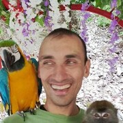  ,   , 37 ,   ,   