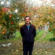  ,   , 55 ,   ,   