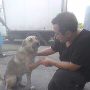 ���������� ���������� �����, ���� ������� ����, 35 ���, ������������ ��� ������, ����� � ���������, c�������� ���������, ���������