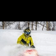 ���������� ������, ���� ������� �������, 38 ���, ������������ ��� ������, ����� � ���������, c�������� ���������