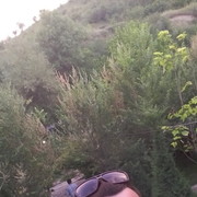 ���������� �������, ���� ������� Grand, 35 ���, ������������ ��� ������, ����� � ���������, c�������� ���������